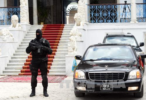 បណ្តាញភេរវកម្មជាច្រើននៅអាល់ហ្សេរីនិងទុយនីស៊ីត្រូវបានបំផ្លាញចោល